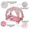 Badger Basket Royal Carriage Metal Doll Bed with Canopy, Bedding and LED Lights - Pink/White/Stars
